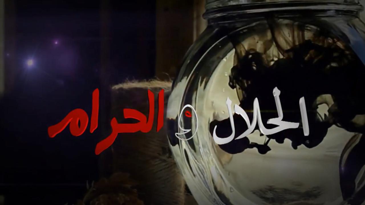 مسلسل الحلال والحرام الحلقة 20 العشرون